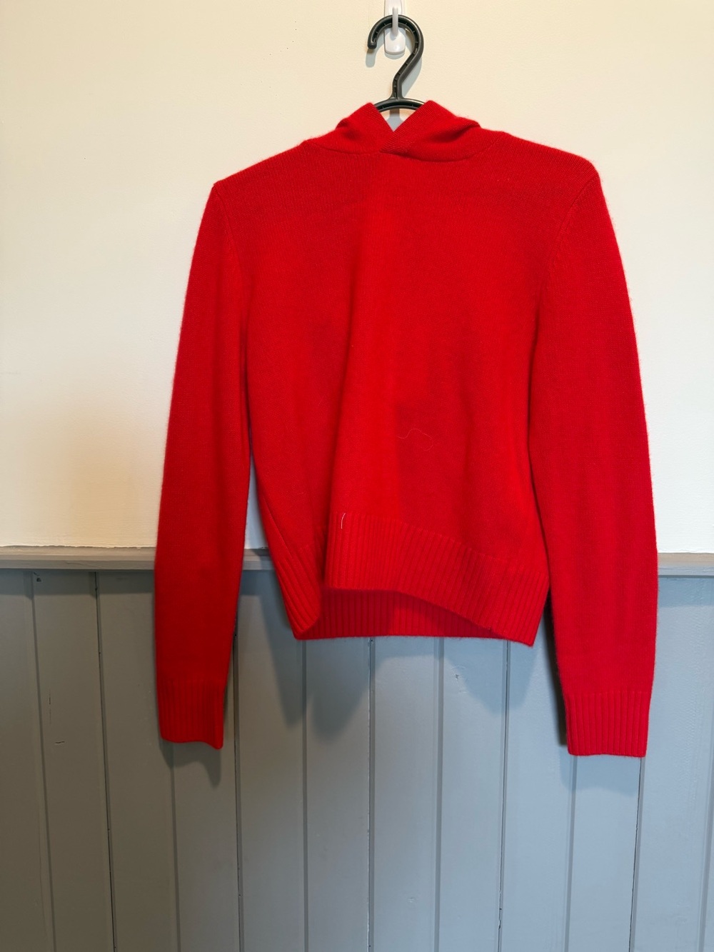 ARITZIA Cashmere Hoodie